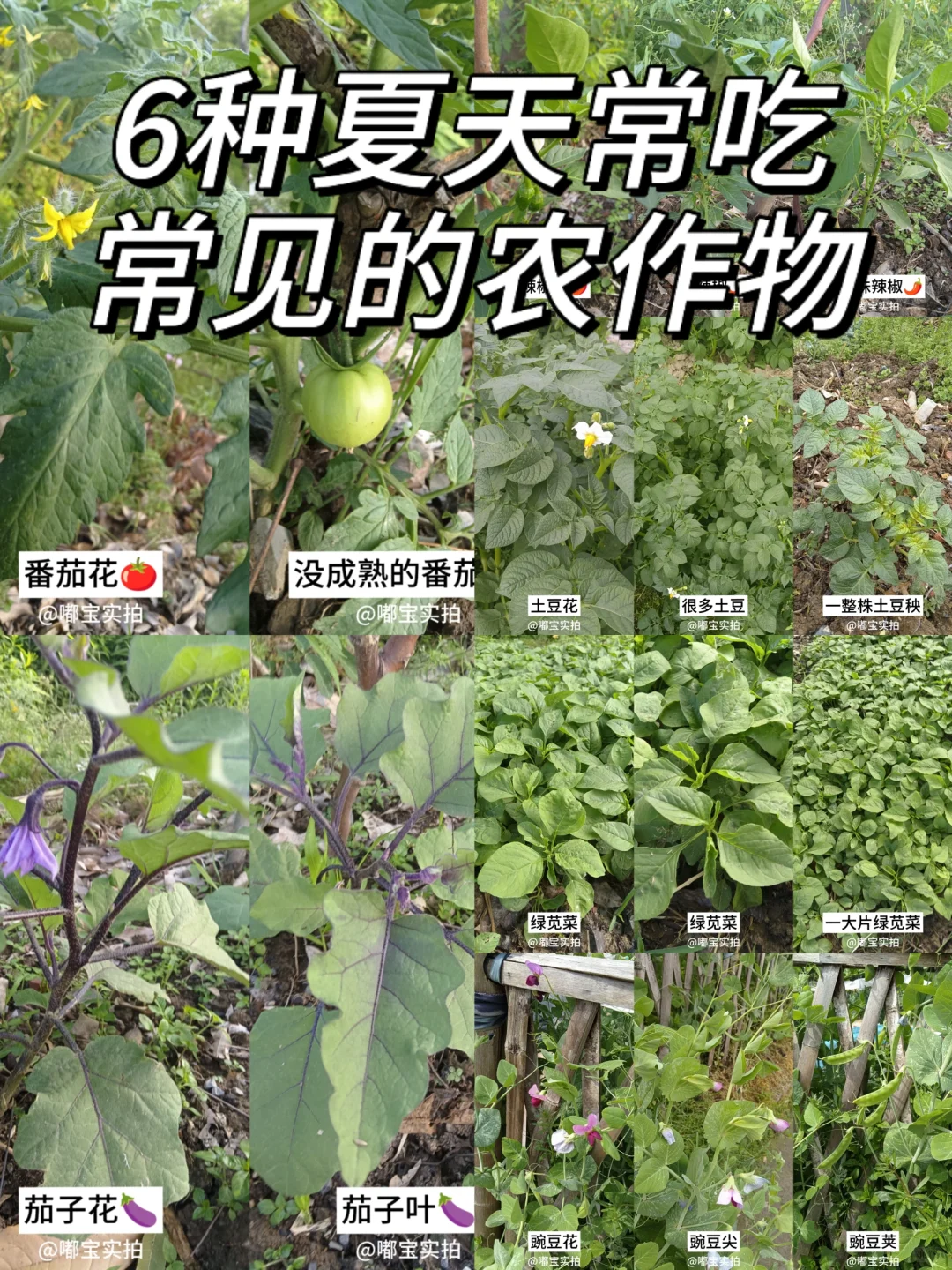 怕你们城里人没见过这些…