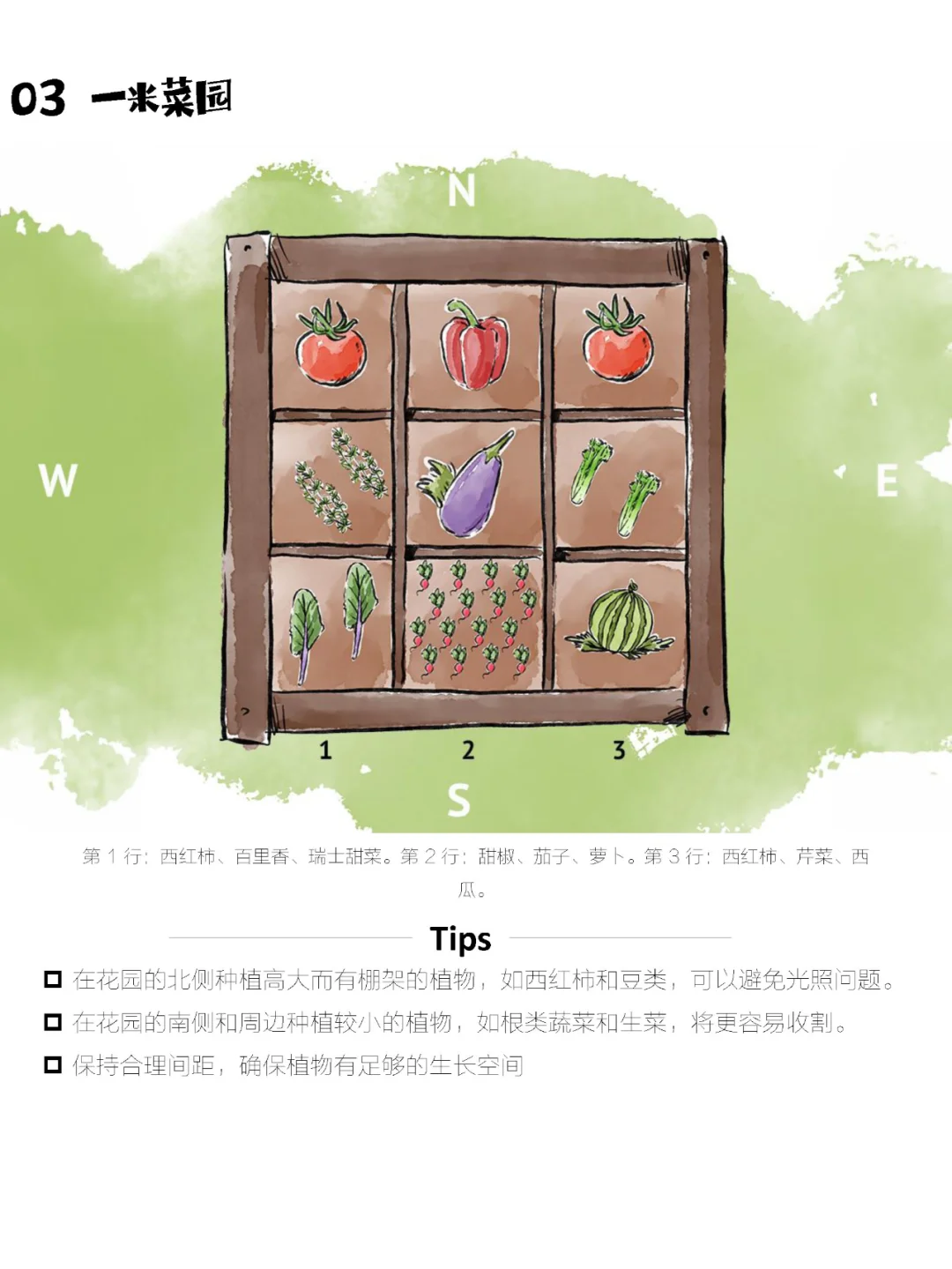 如何布置一个最佳收成的蔬菜花园