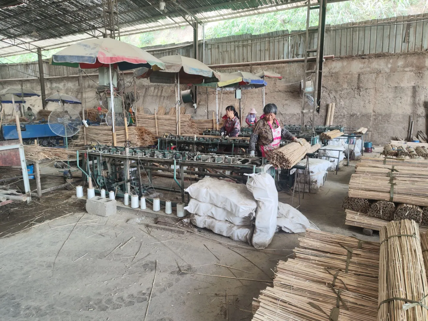 竹木之歌：利源竹木加工厂的绿色崛起