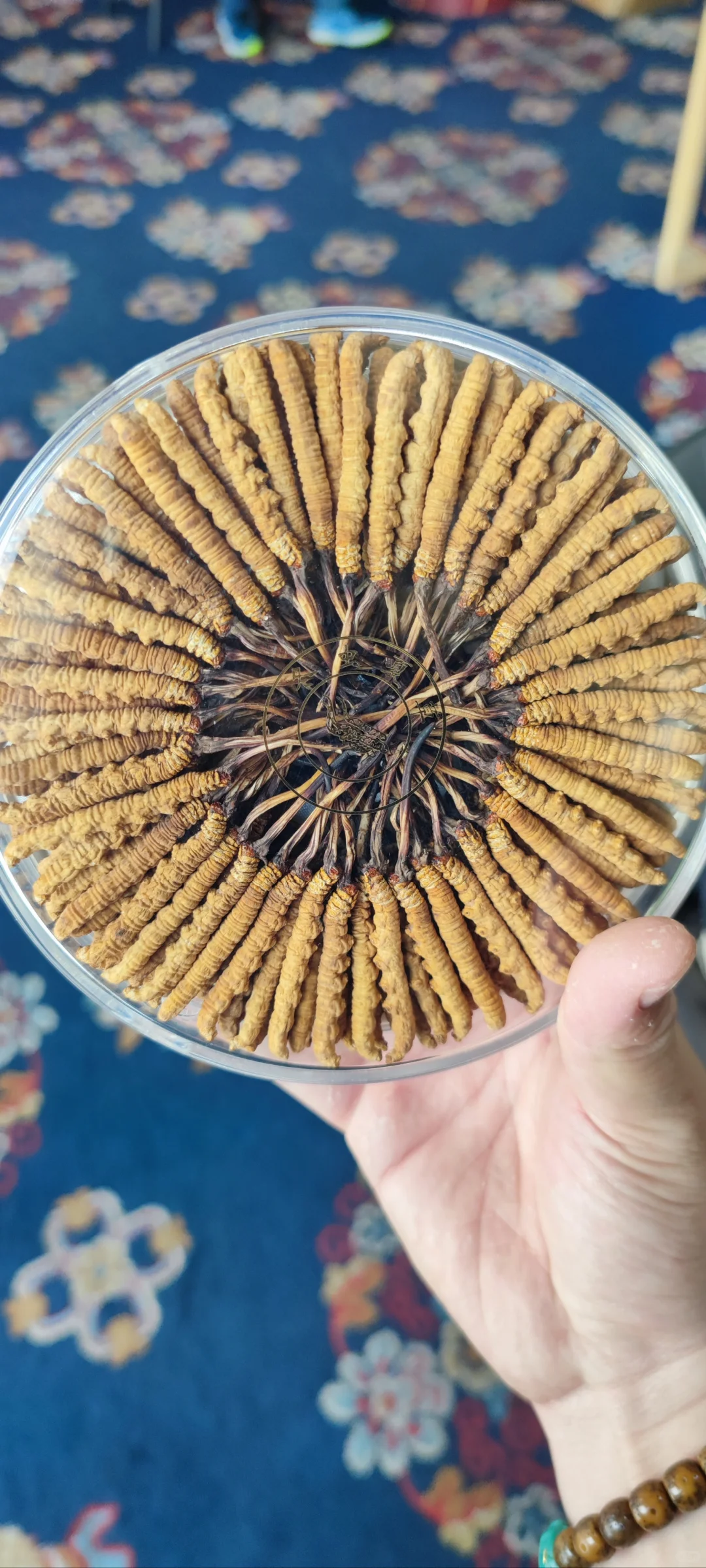 什么大草？为何选择大草