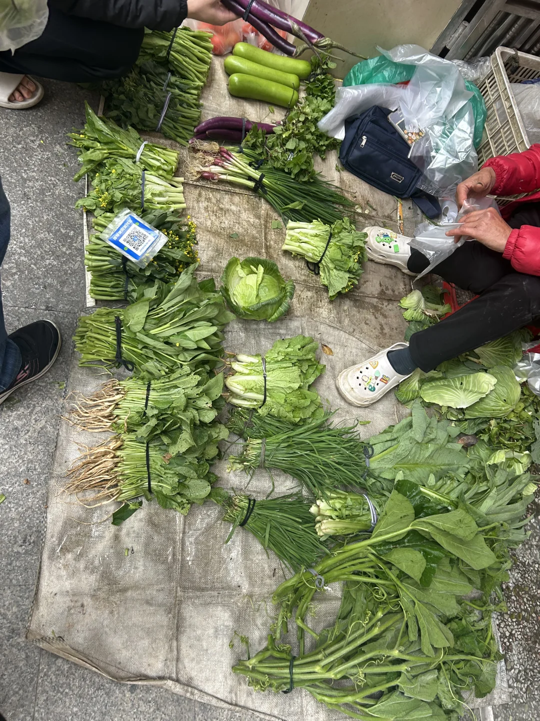 看到好看的蔬菜真的想尖叫！