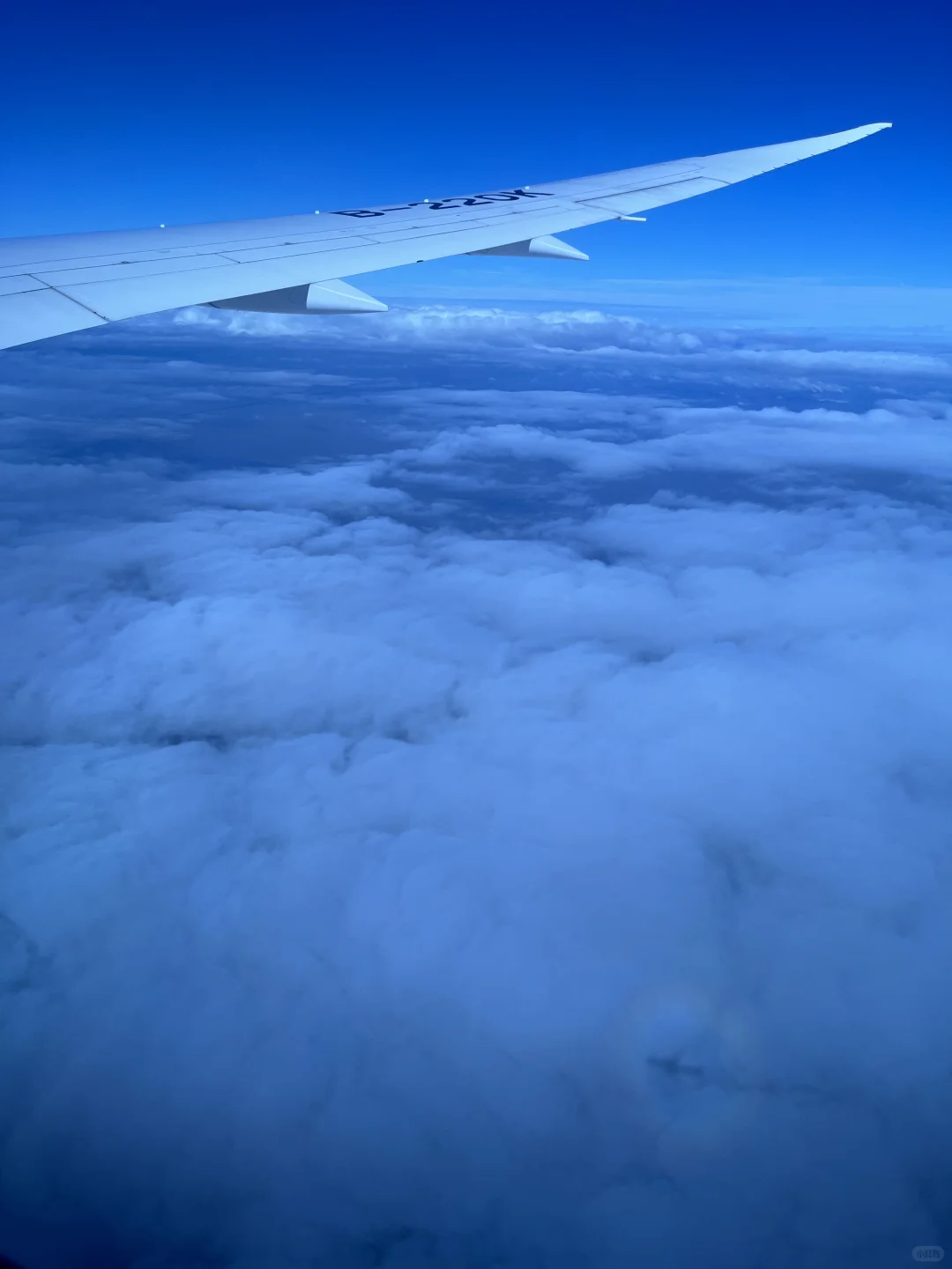 第一次坐上海航空·波音787宽体机