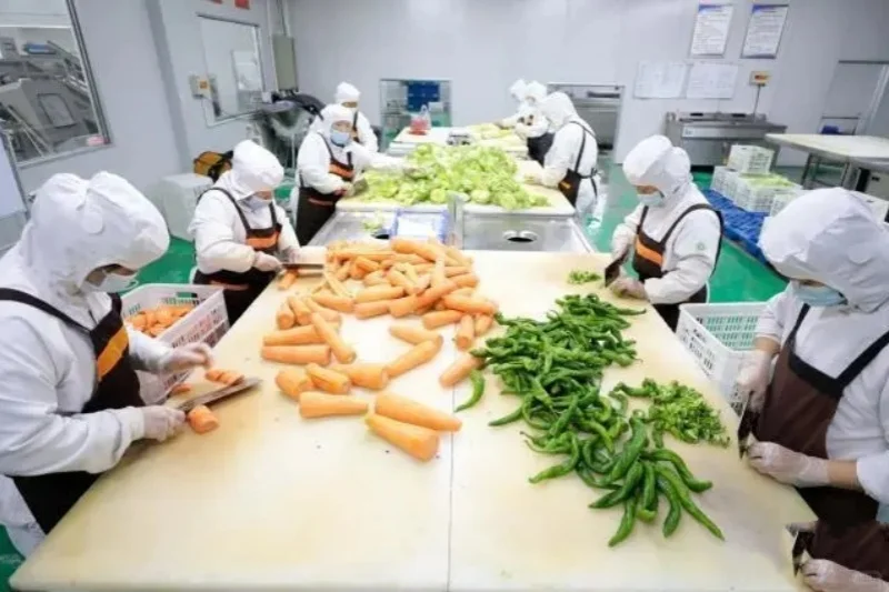 50多岁人在农村,做这个小加工厂,非常合适