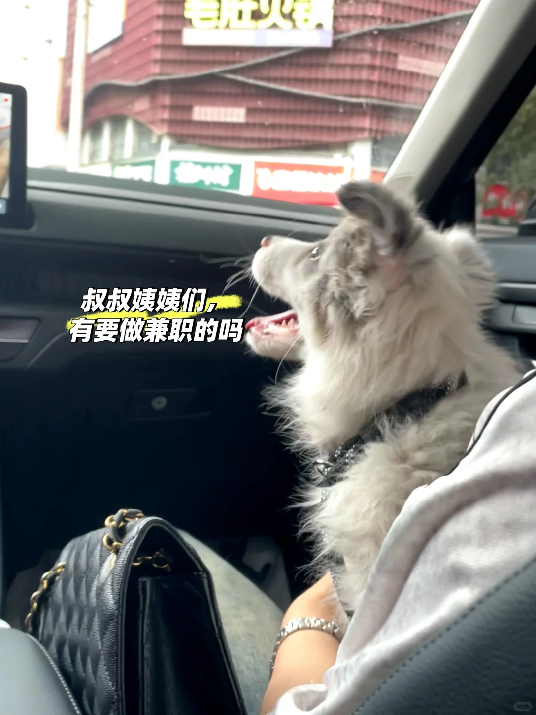 找龙子湖校区兼职，