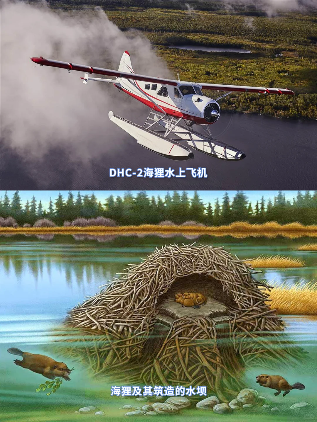 终于知道飞机为什么这样命名了?