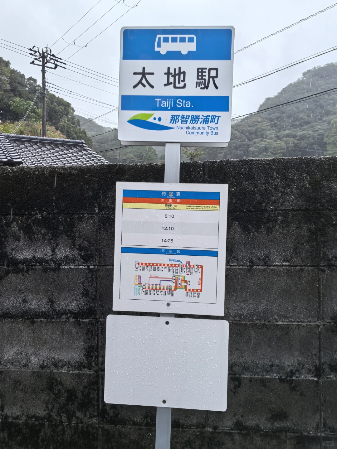 日本关西地区纪伊半岛和歌山太地町，海豚湾