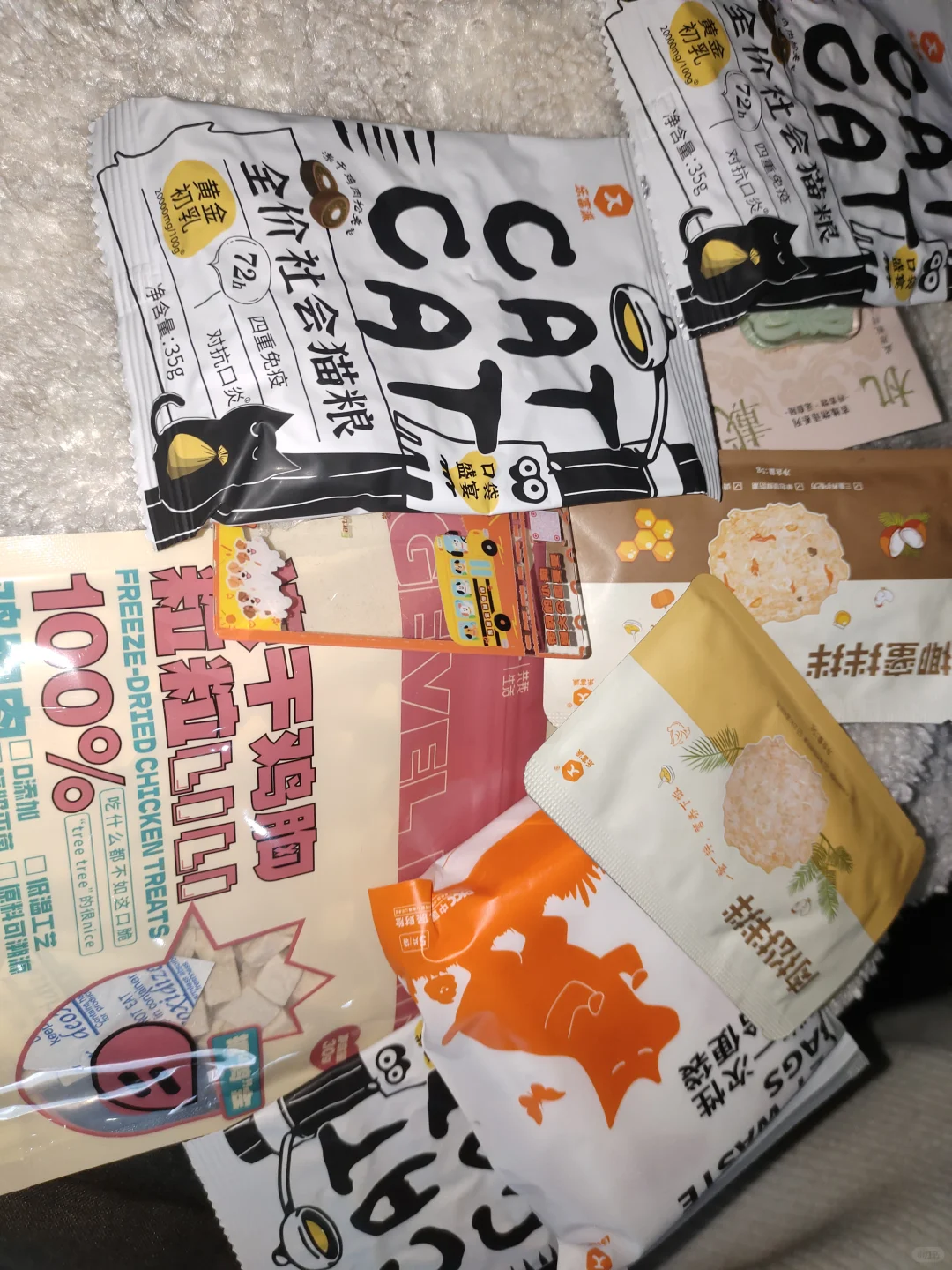 薅羊毛｜上海宠物时装周打卡攻略