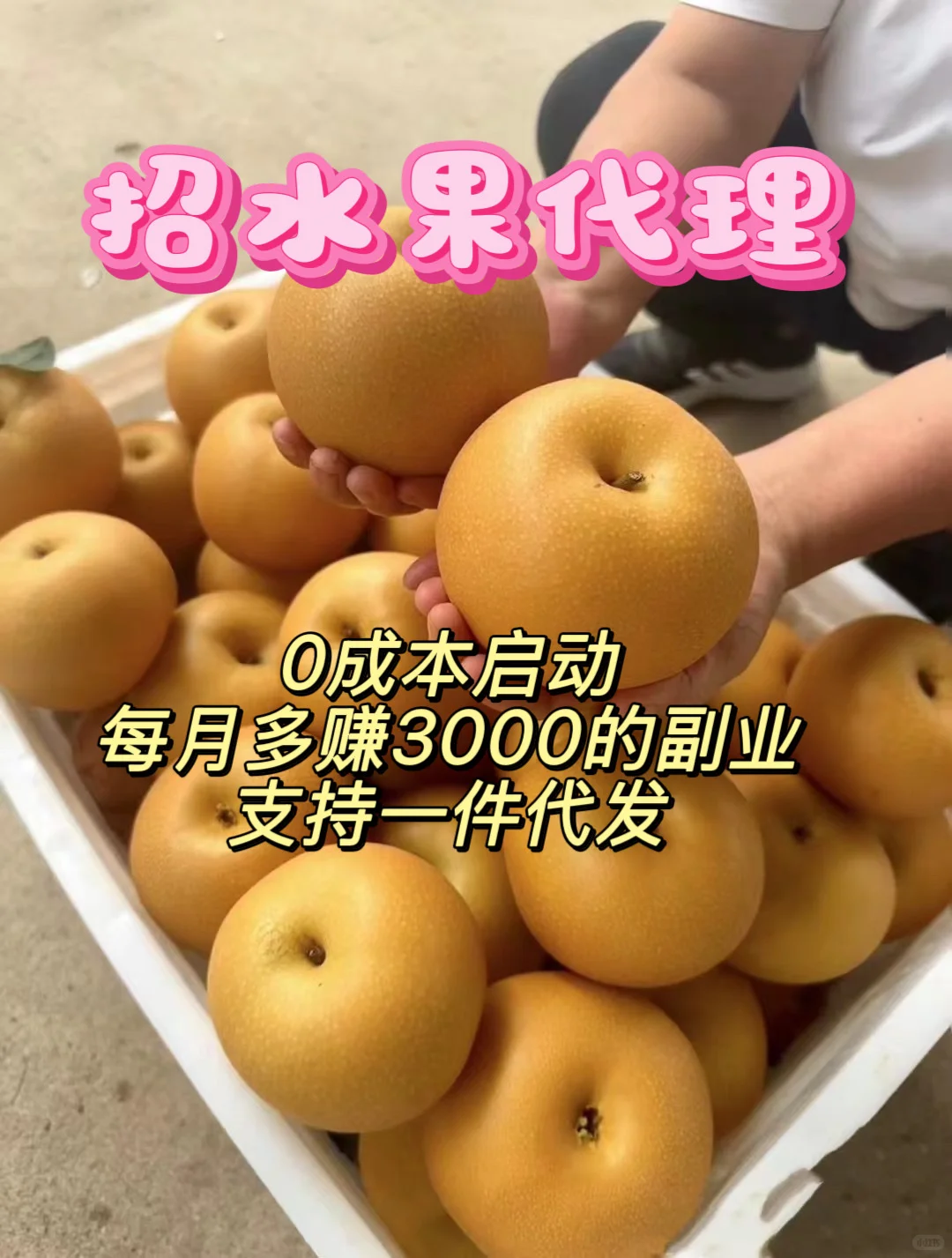招水果代理0元启动资金，多赚3千不是梦