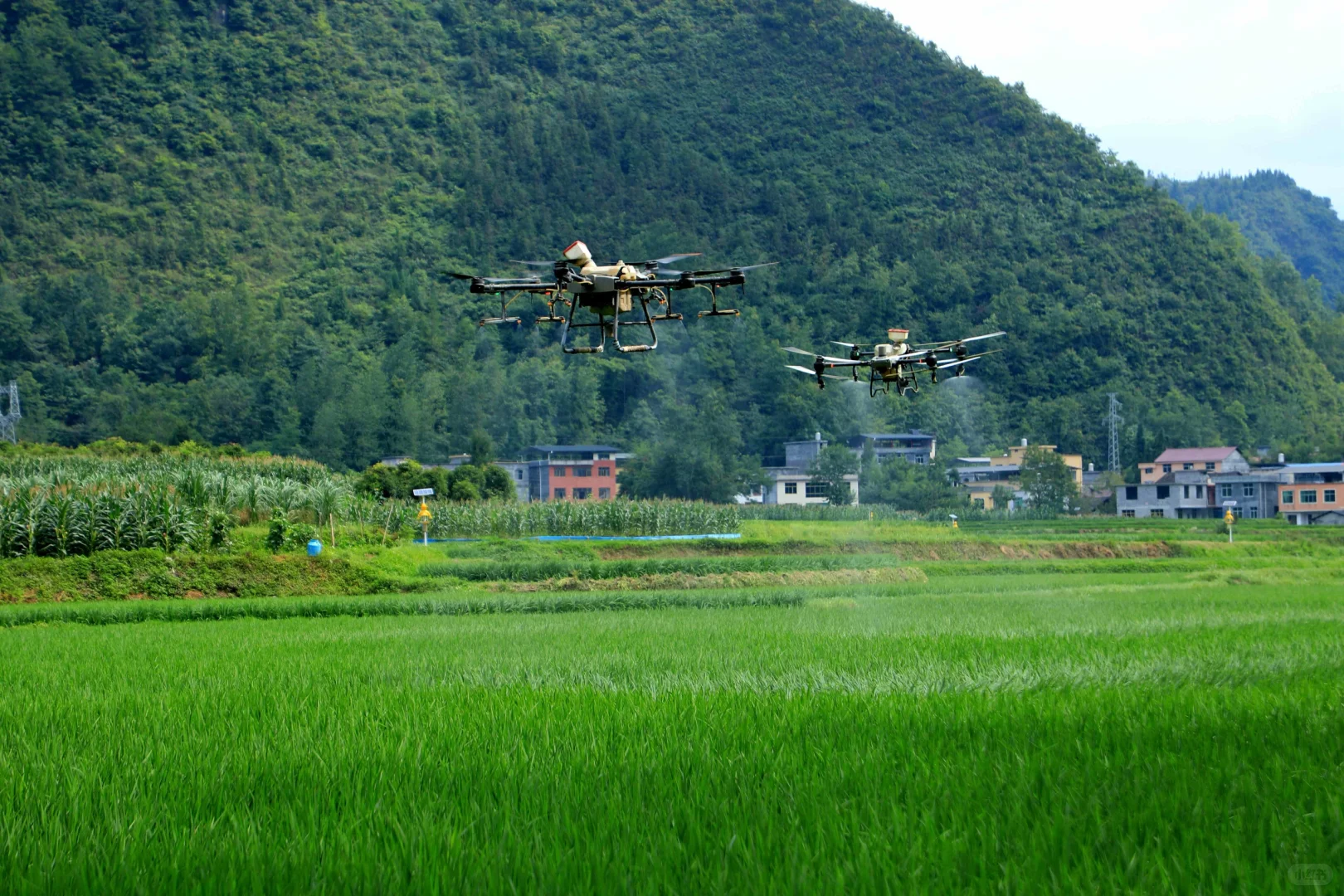 ✈️洛阳地区,低空经济➕农业