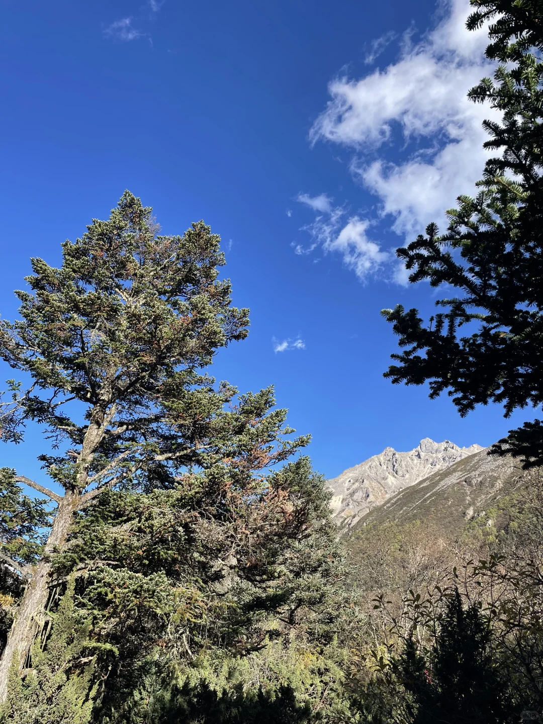 又又又来勒多曼因啦!3天2夜徒步装备清单