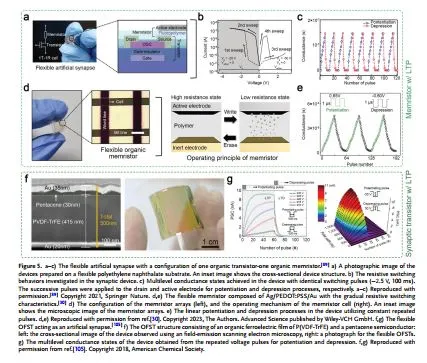 用于可穿戴近集成功能的柔性神经形态器件