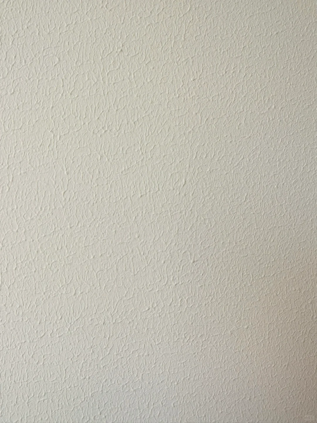 是这个冷门奶油色让我放弃了可可蛋奶！