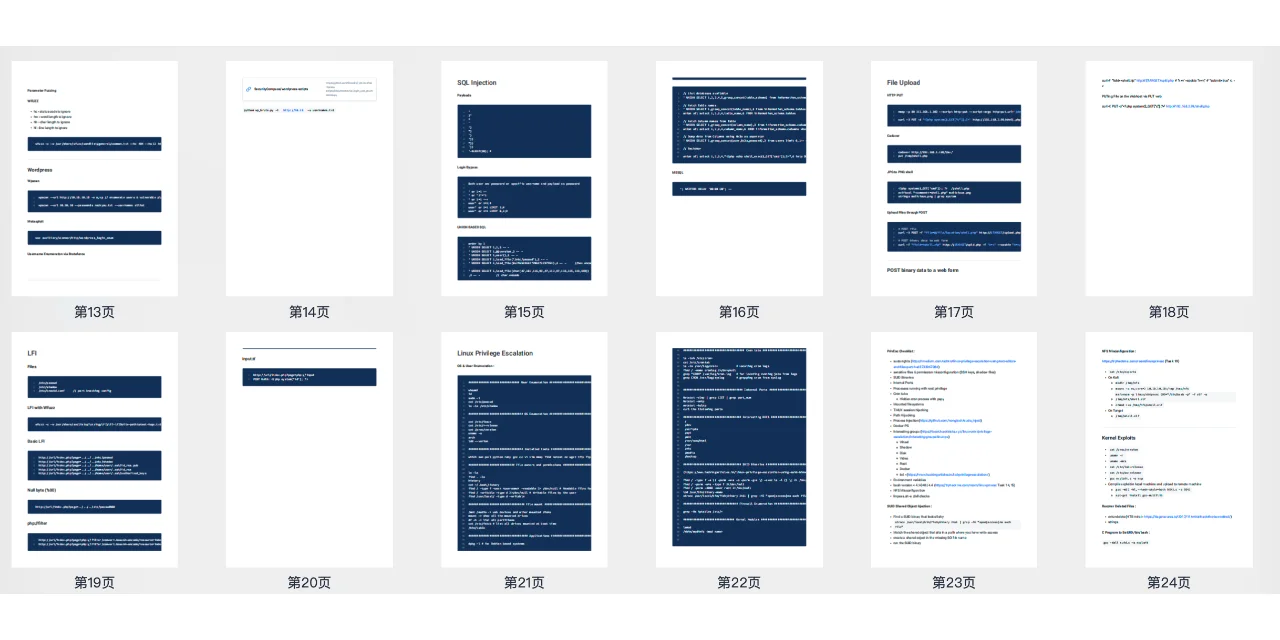 提升渗透测试技能：OSCP笔记