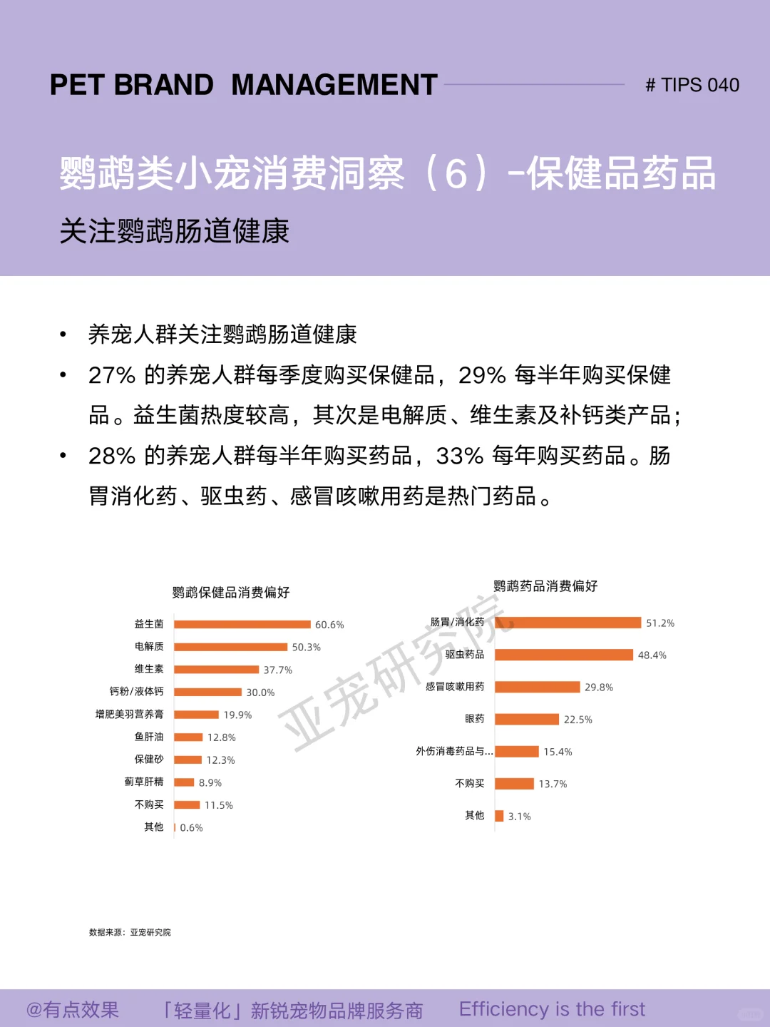 040tips｜2025小宠市场：鹦鹉