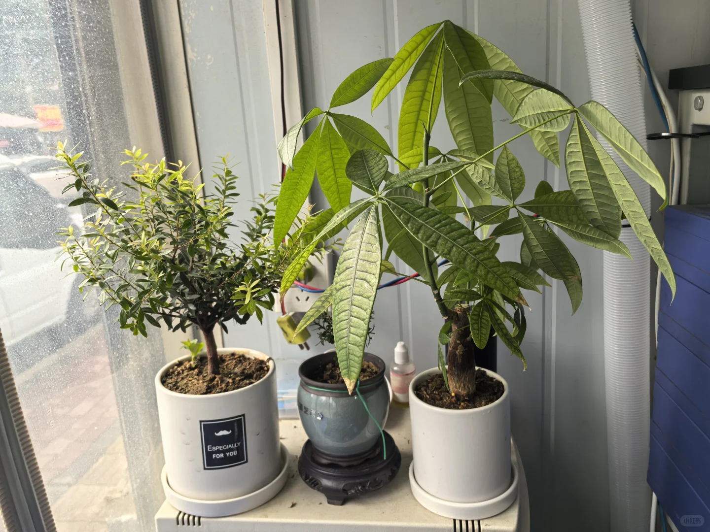 我的小店、工作室