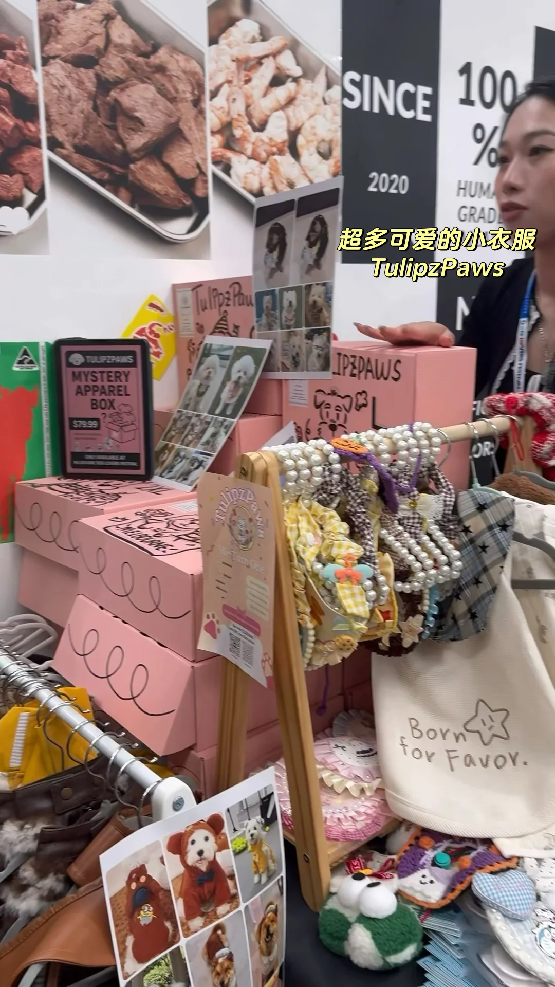 ??38周小孕妇勇闯狗展的一天plog