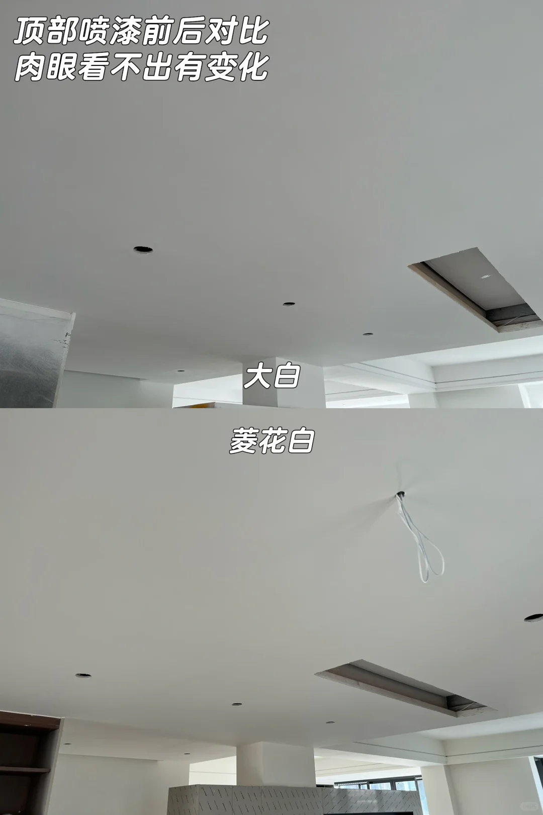 是我心心念念的菱花白没错了