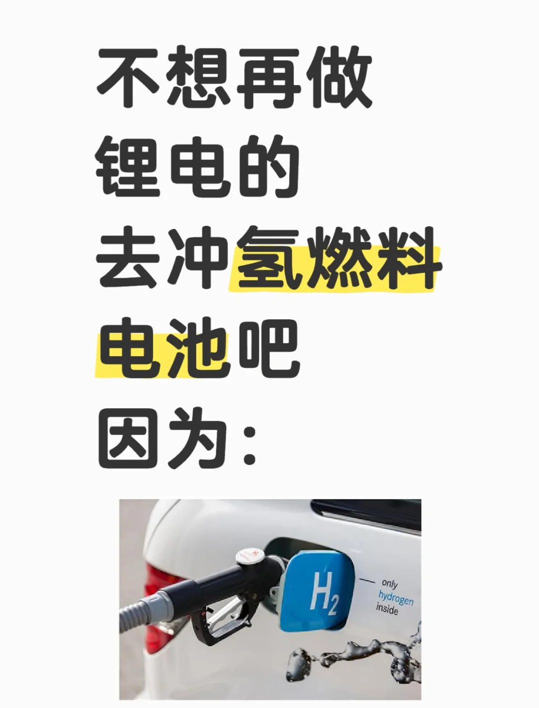 不想再做锂电的 去冲氢燃料电池吧