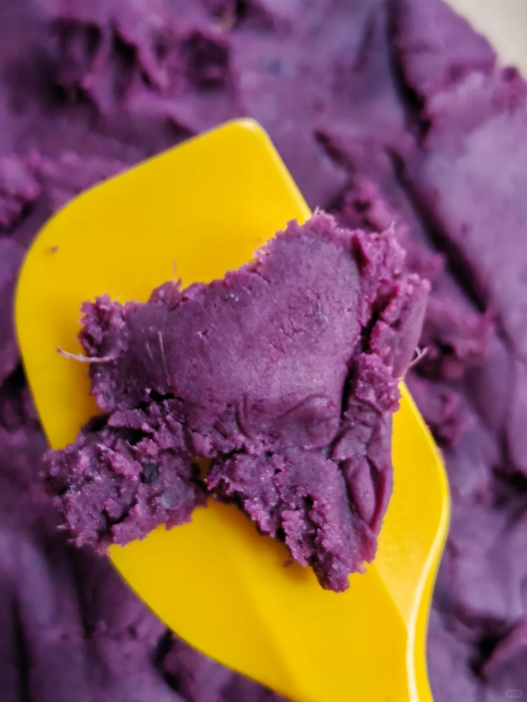 不好意思，我家无糖就是没有任何糖，非代糖