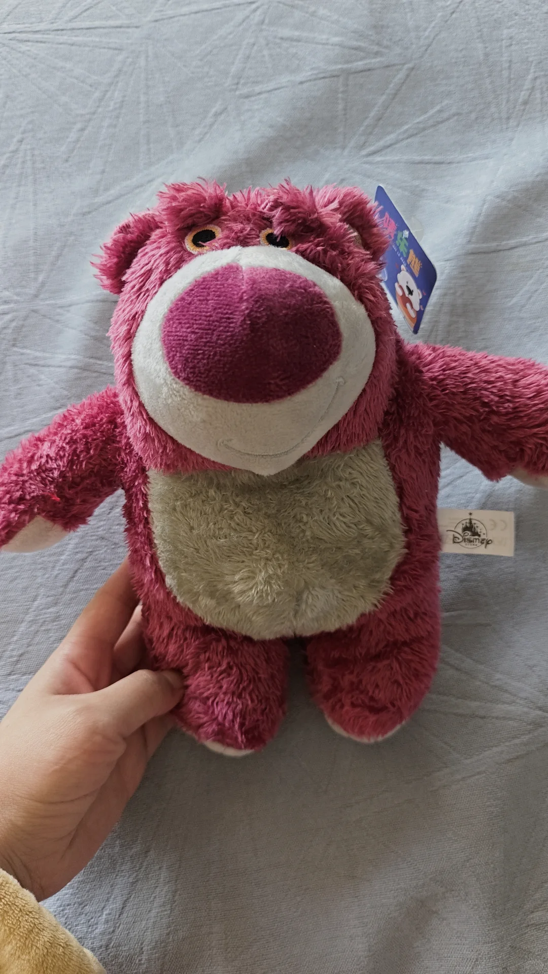 ÷÷÷毛绒玩偶，钥匙坠10元，8寸公仔15元