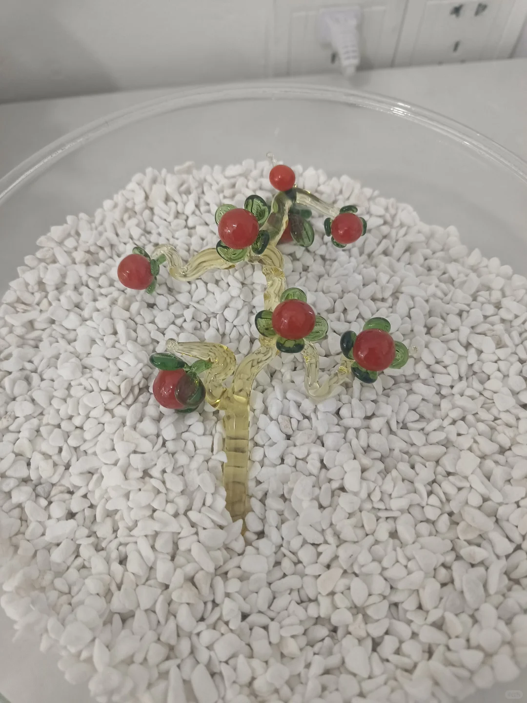 烧玻璃客作小分享、不限品不限量！