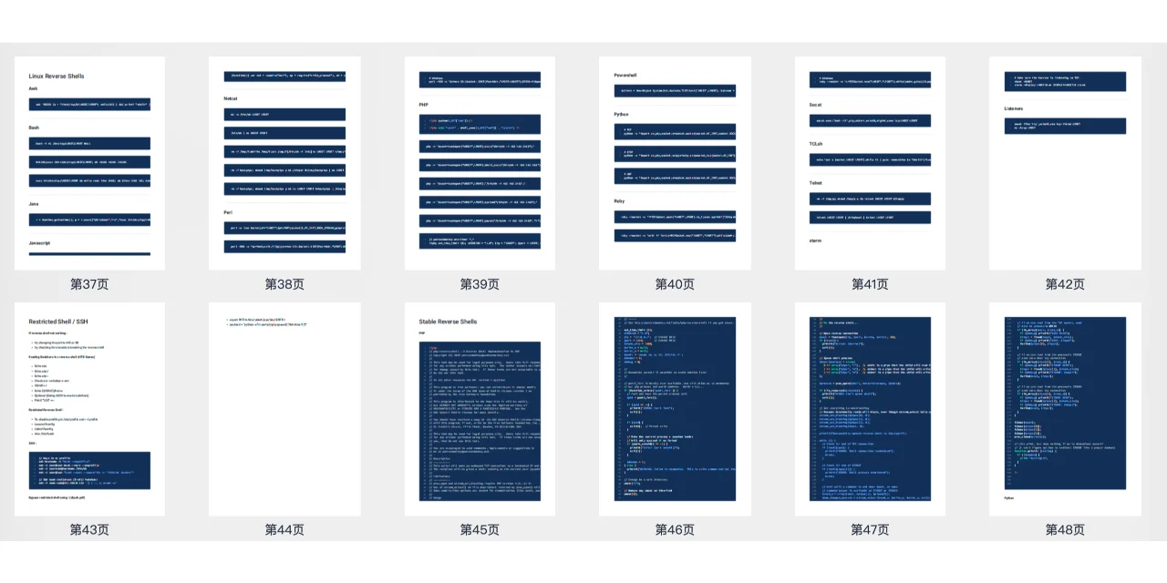 提升渗透测试技能：OSCP笔记