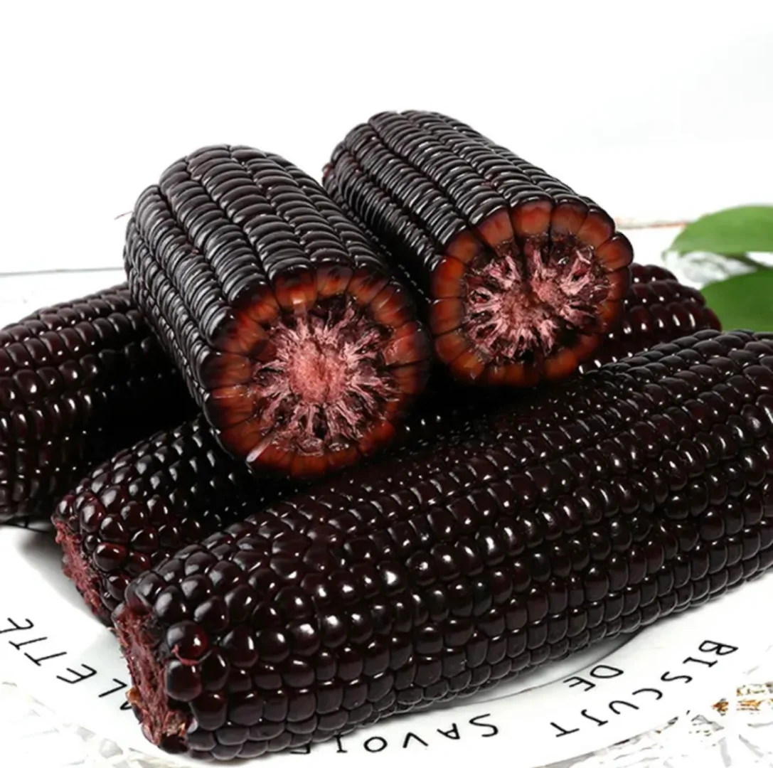 东北糯玉米工厂，可一件代发