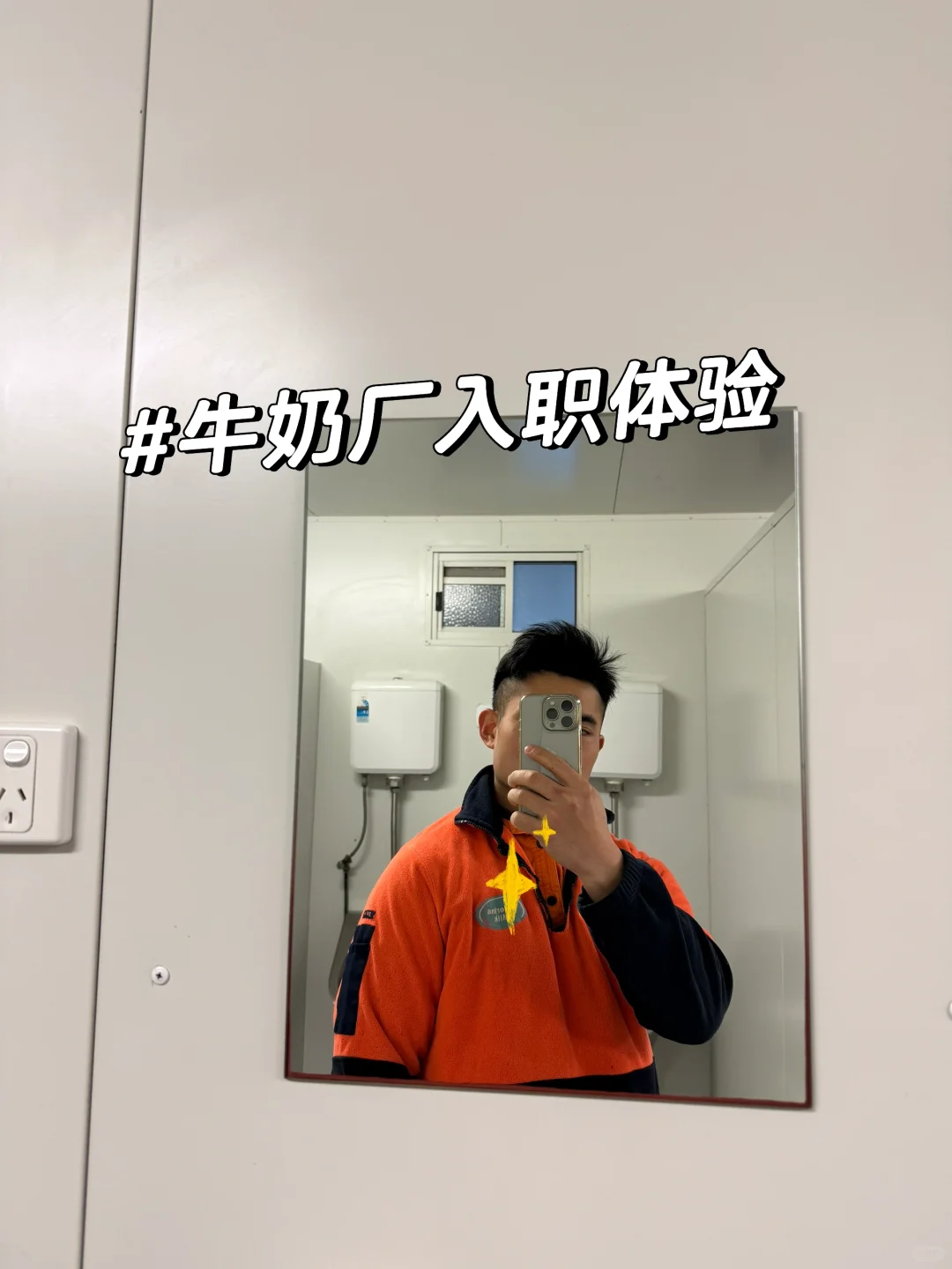 Whv | 牛奶厂入职体验