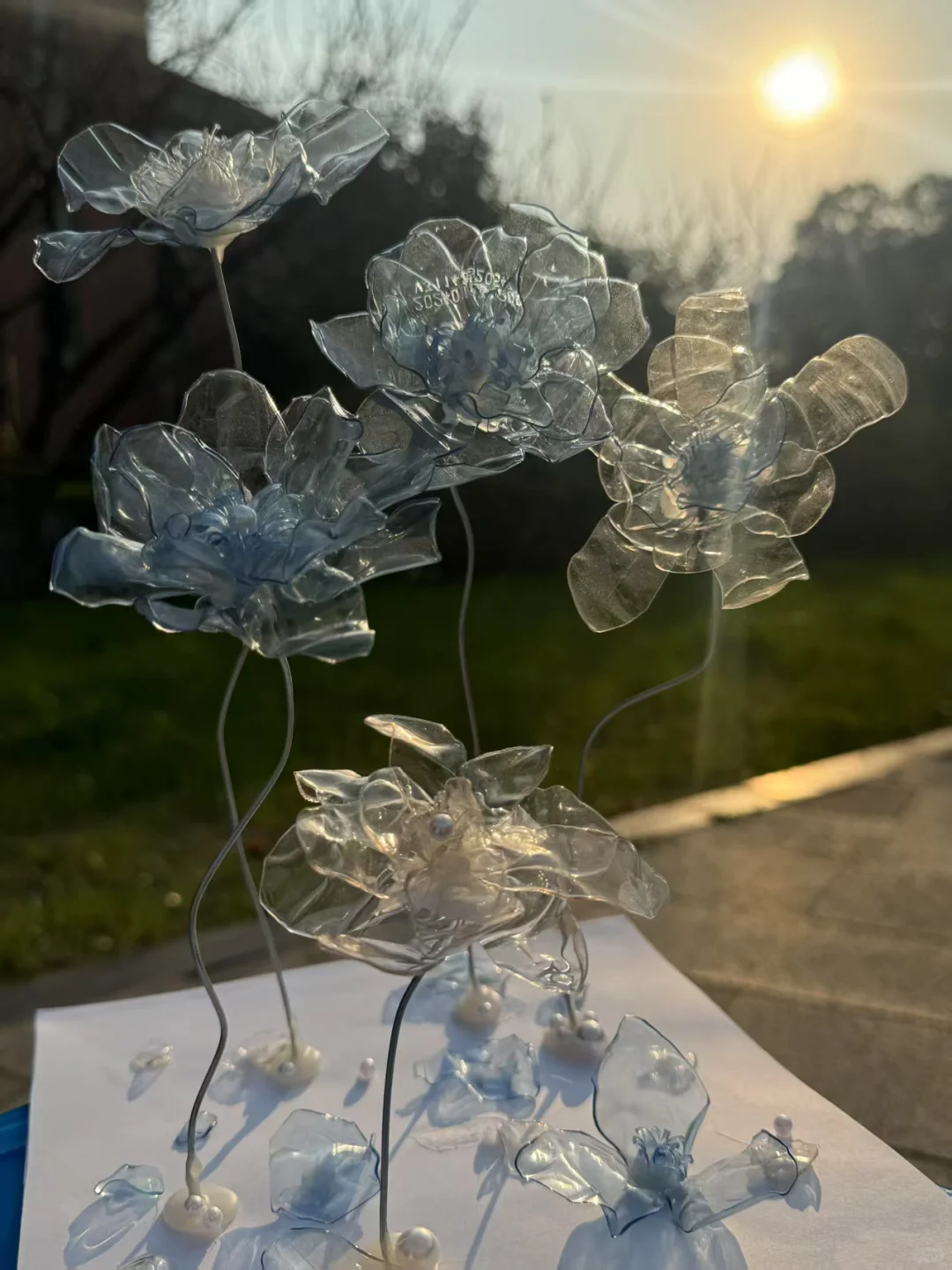 变废为宝?创意新生?