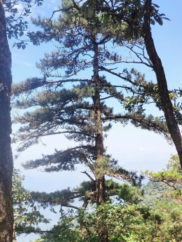 薄刀峰景色对得起5a景区的称号