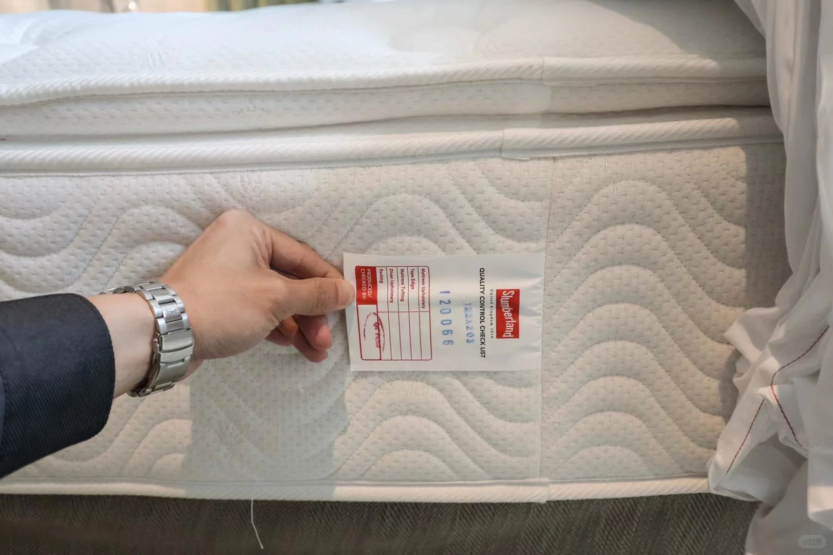 建筑师私藏的新加坡空中森林酒店拍照攻略