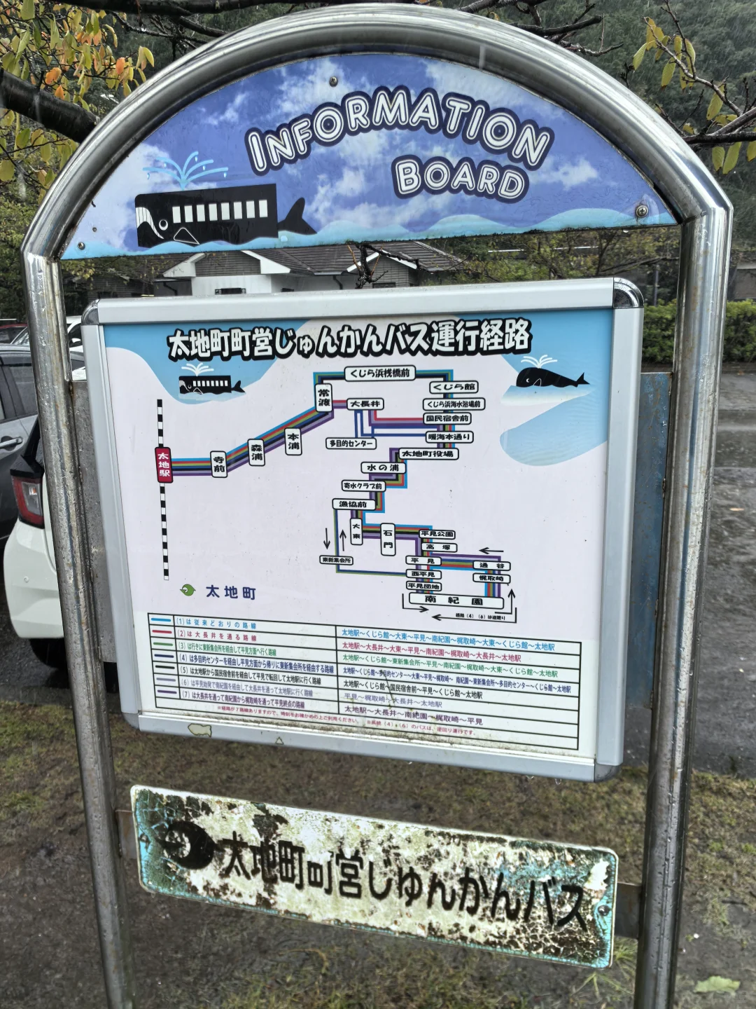 日本关西地区纪伊半岛和歌山太地町，海豚湾