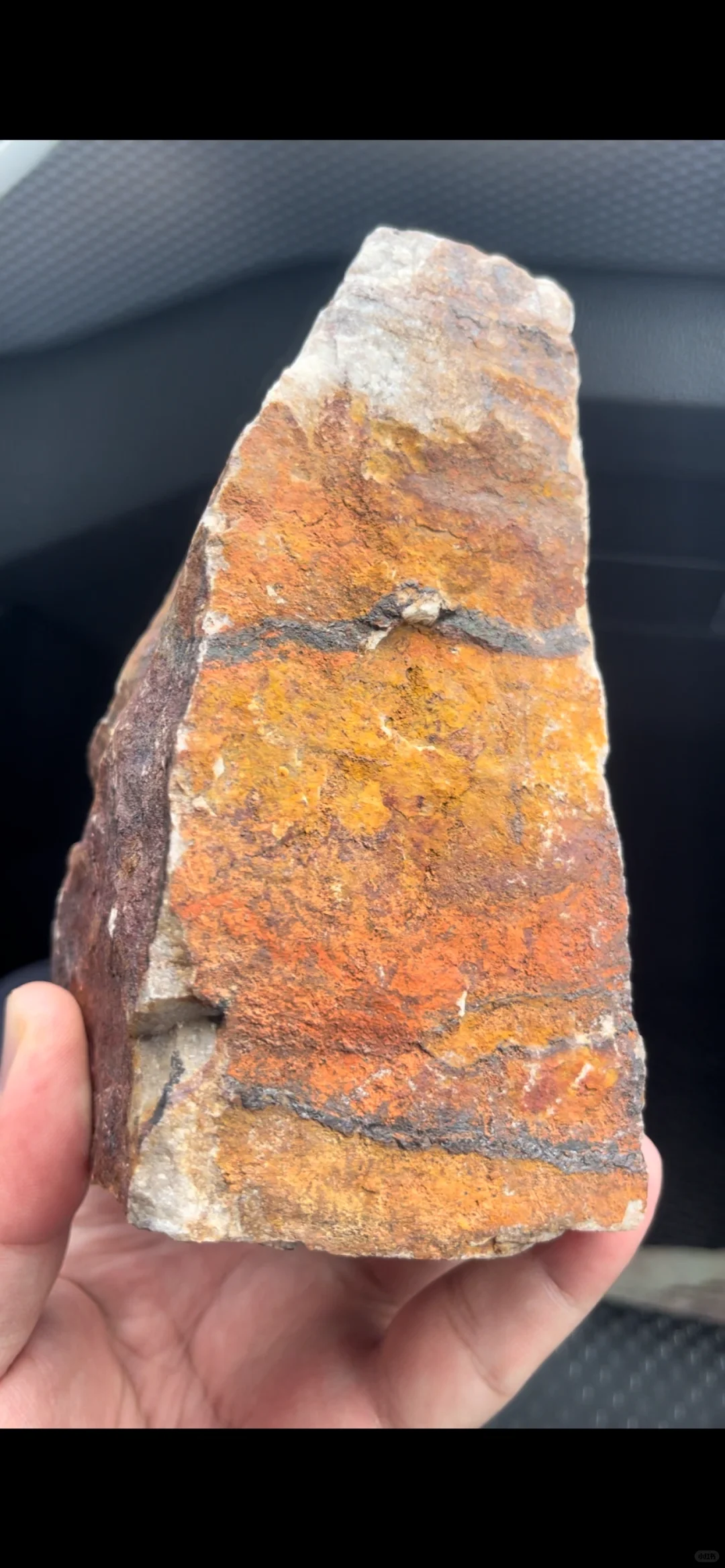 山上捡的石头 有人认识吗？