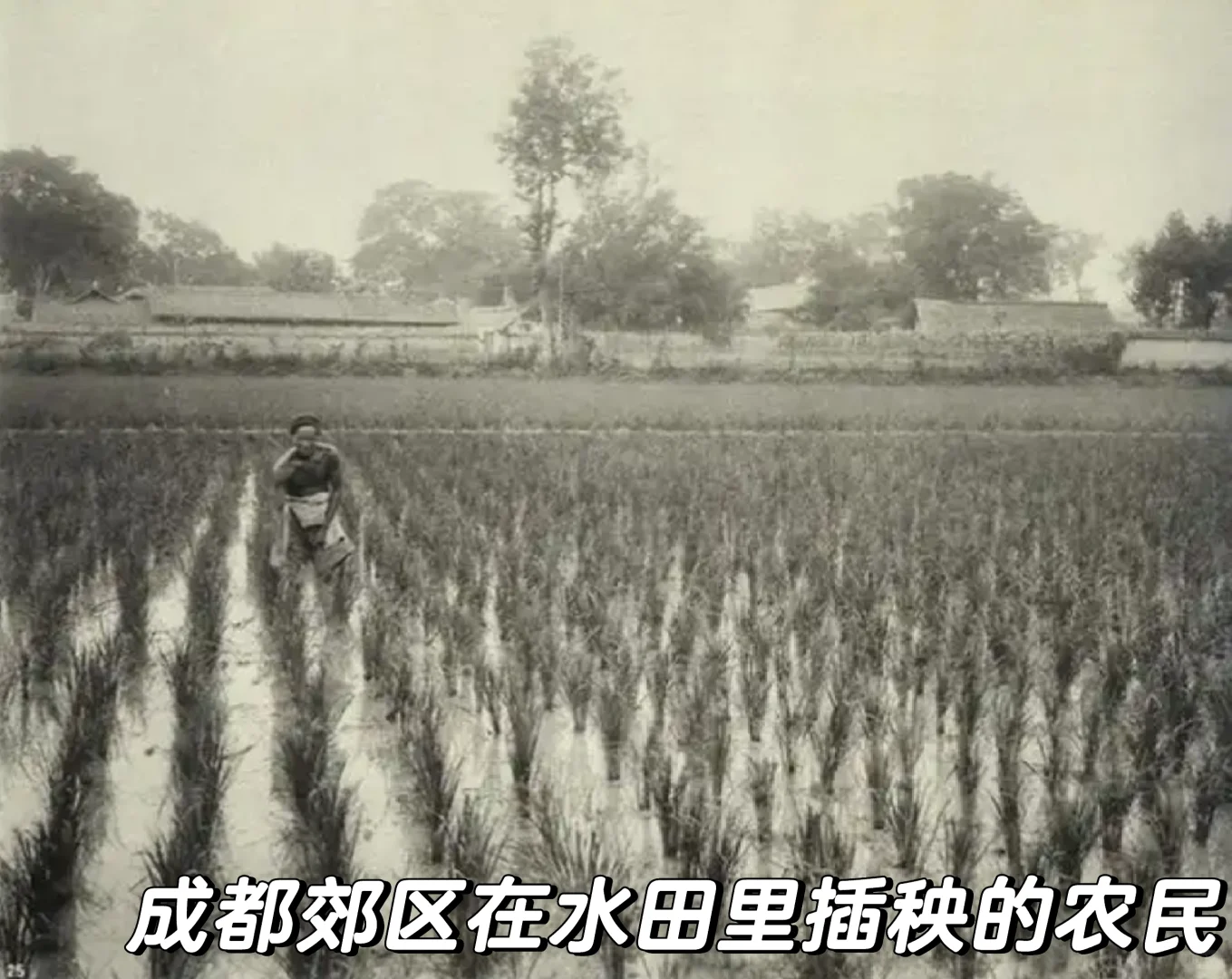 晚清至民国初年四川农村生活多元经济的交织