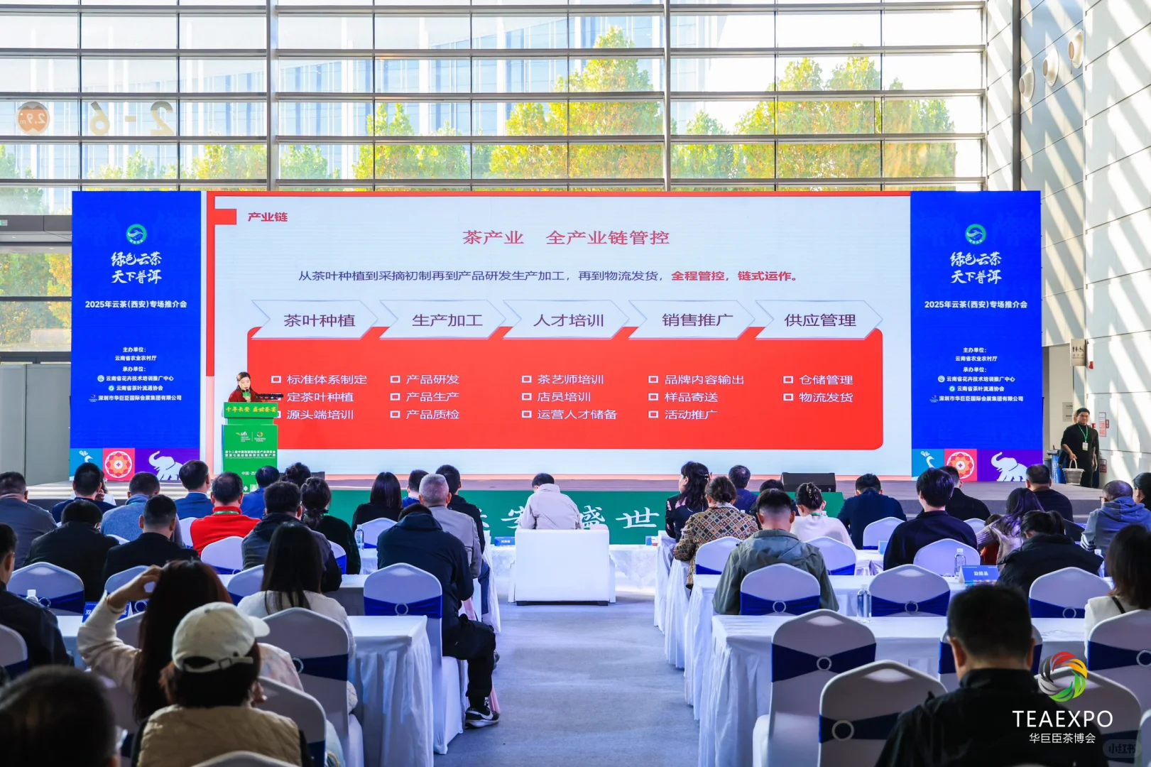 西安茶友速来！2025云茶推介会启幕，约茶啦