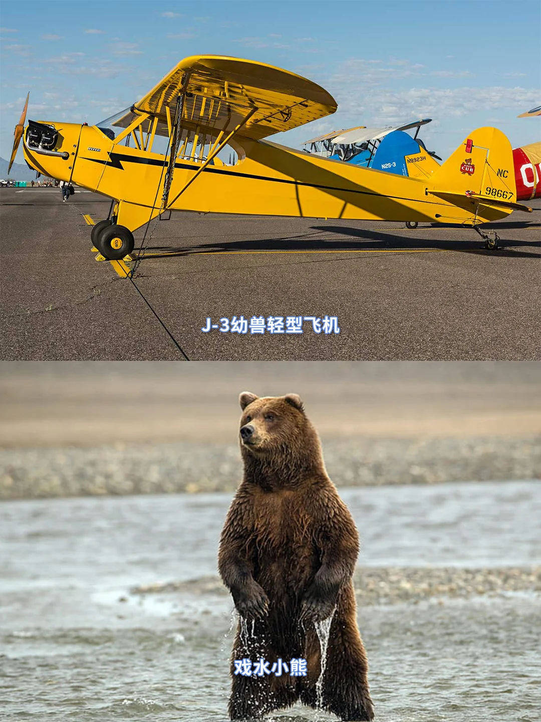 终于知道飞机为什么这样命名了?