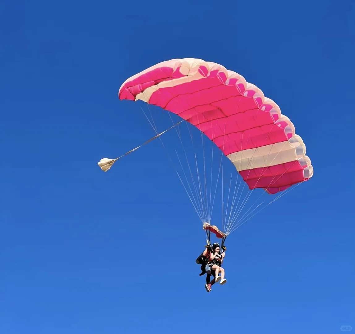 飞机的种类 分类卡片一