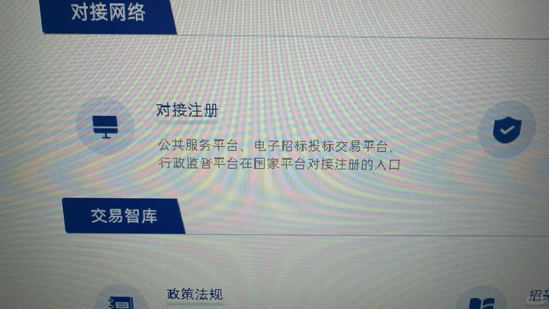 在线急等（中国招标投标公共服务平台）