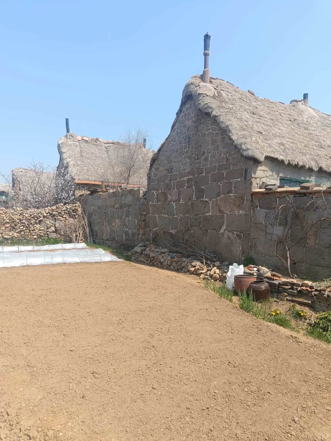 山东古村落（123-3）海草村街一角‖柳树集