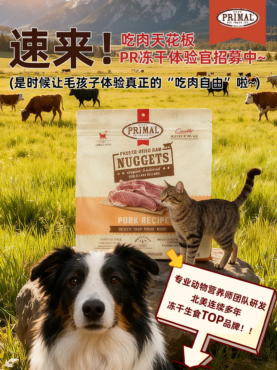 速来‼️吃肉天花板Pr冻干体验官招募中~