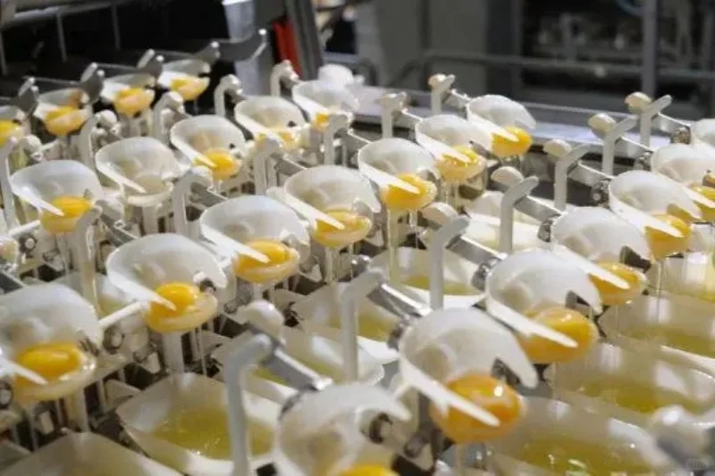 在农村就做这种加工厂,稳妥做老板!