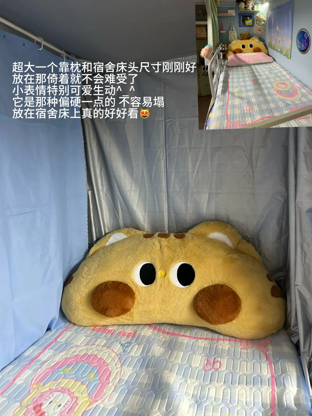 ✍️女大学生的超可爱玩偶分享?均价十几?