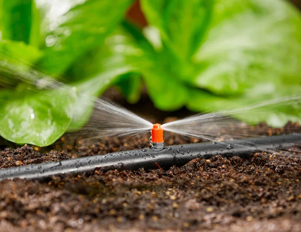 ?农作物灌溉秘籍:选对方式,作物更茁壮!