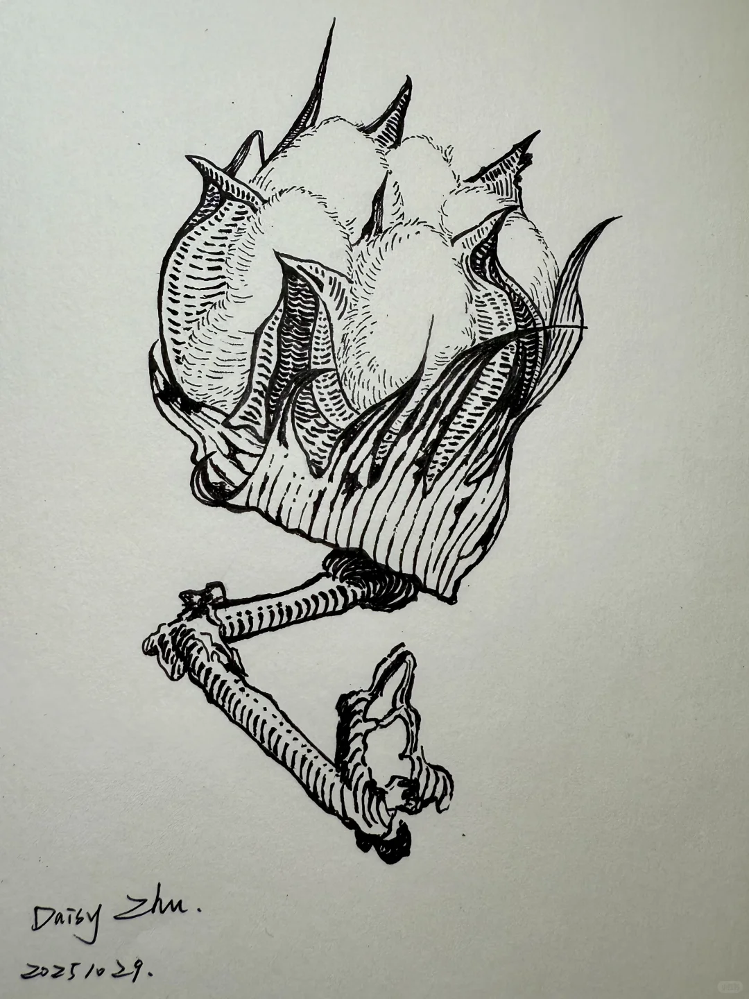 一朵棉花｜跟阿奔学钢笔画｜练习22