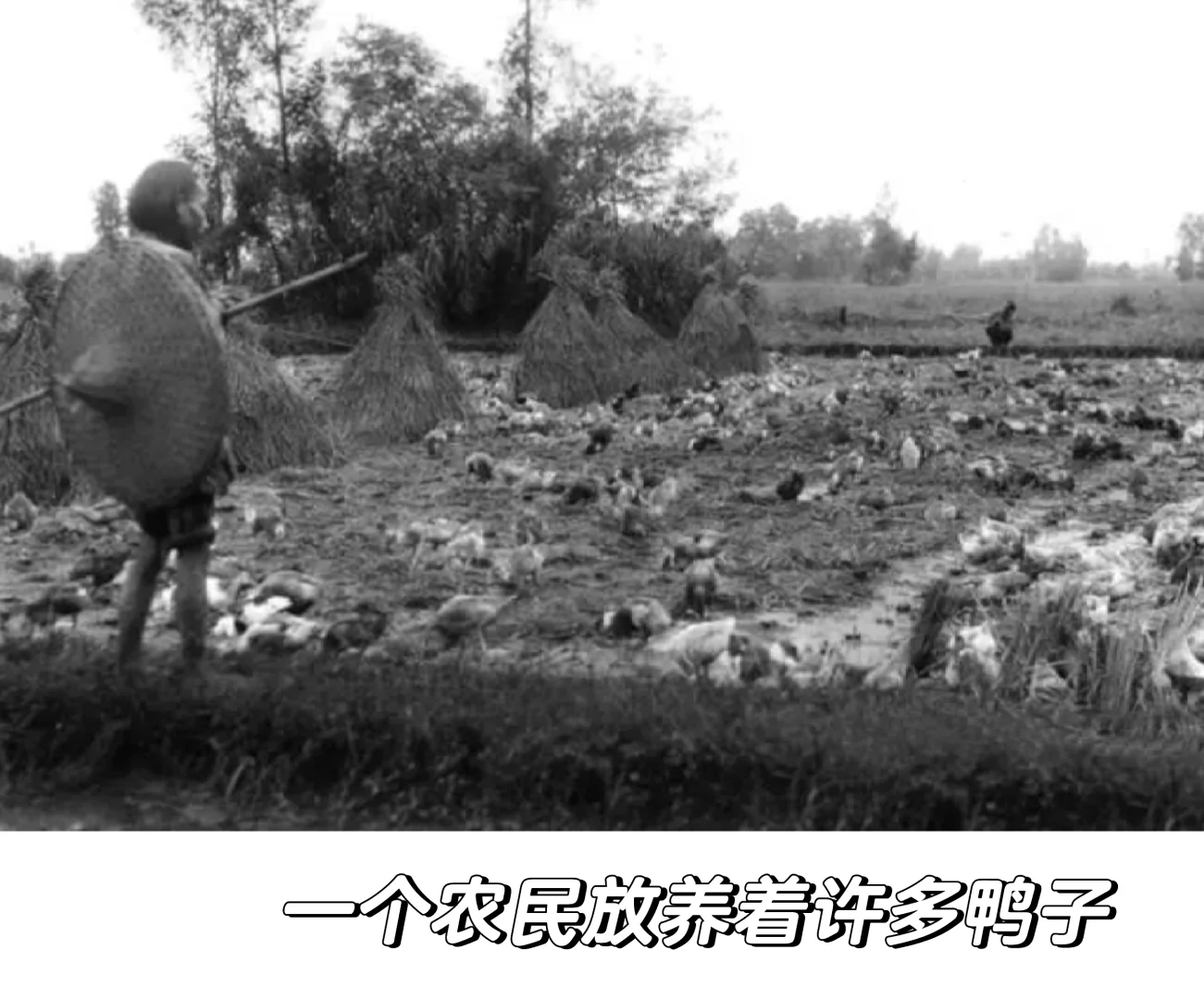 晚清至民国初年四川农村生活多元经济的交织