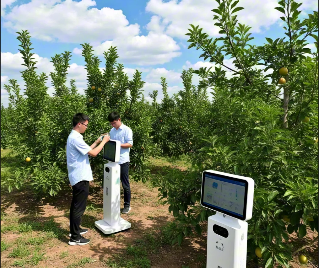?国赛智慧果园：当传统农业撞上黑科技