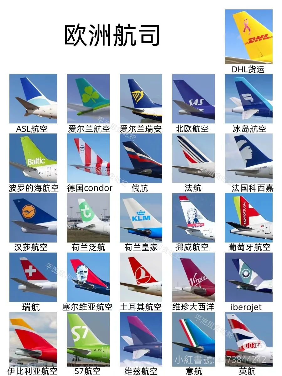 你认识这些吗？