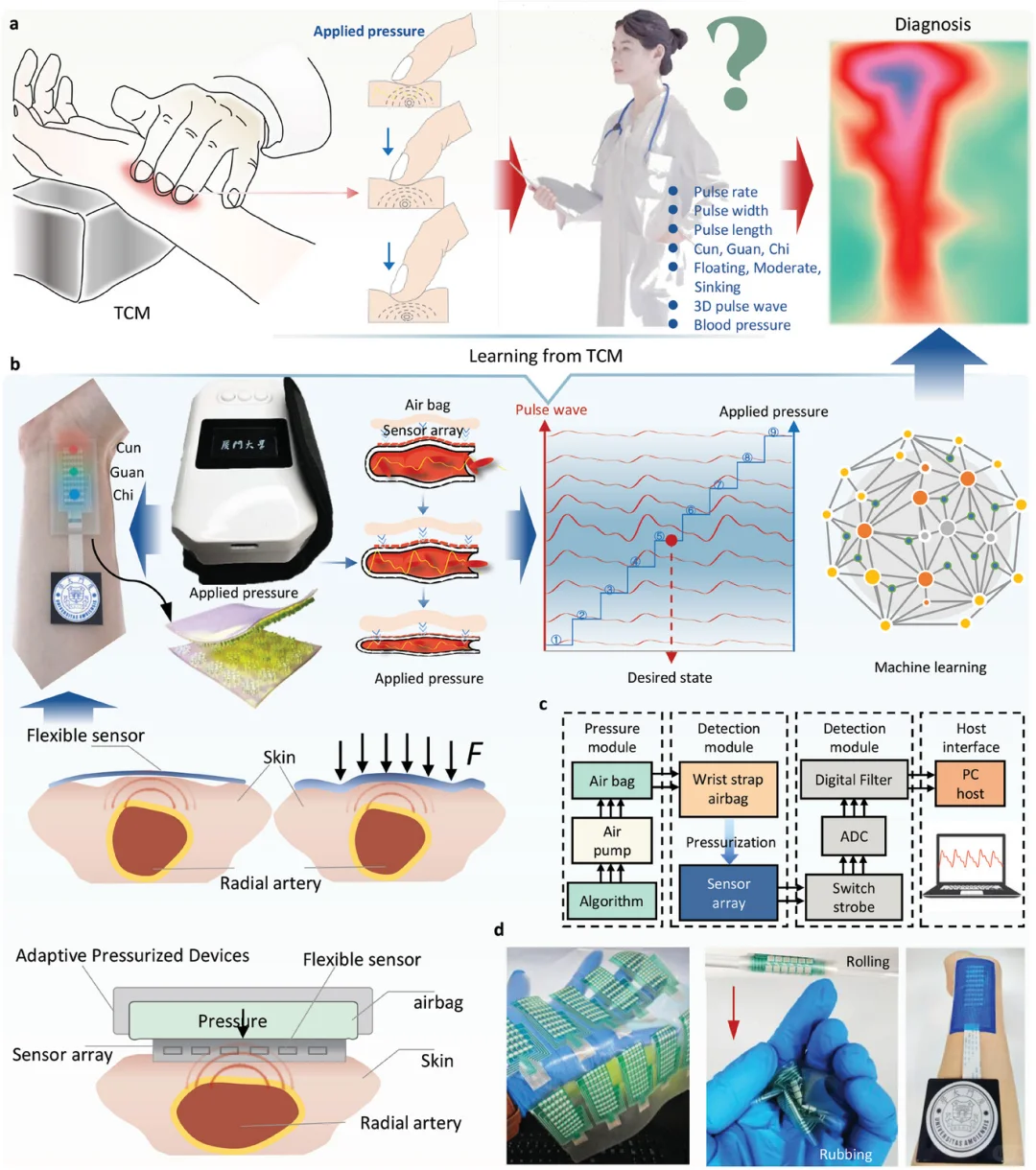Adv Mater|可穿戴柔性电子&中医号脉