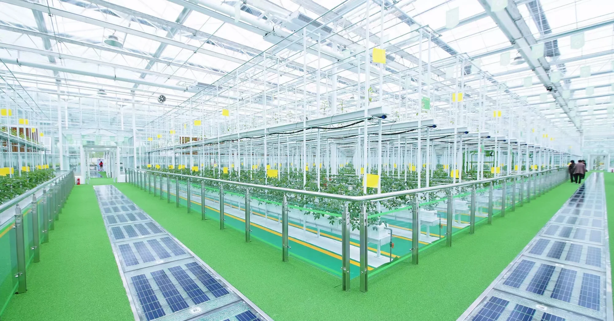 330元每平米,南京玻璃温室大棚价格