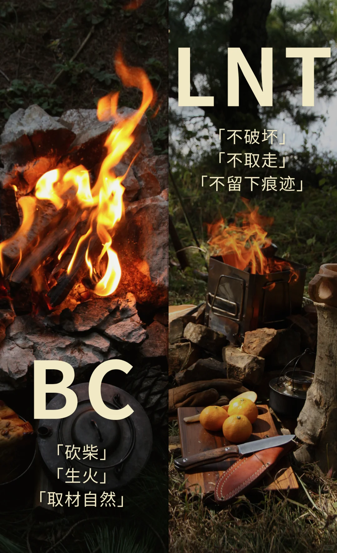 BCUN入林手册 | 10条Bushcraft环保守则